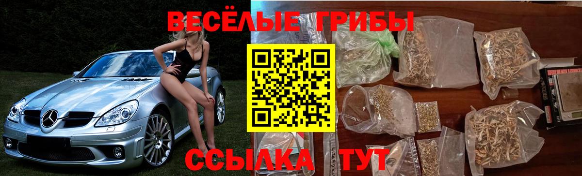 Псилоцибиновые грибы GOLDEN TEACHER Кировск